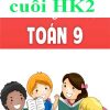 Ôn tập cuối HK2 toán 9 theo chương trình mới